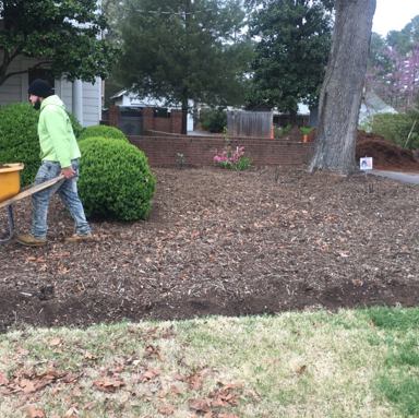 Mulch Service
